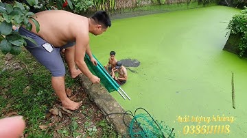 bắt cá hải tượng