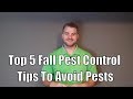 Top 5 Fall Pest Control Tips To Avoid Pests
