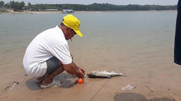 Chủ nhật lên Hồ Đá Bàn ở Tân Uyên câu cá