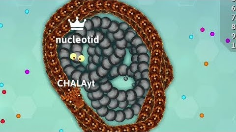 Snake.io 🐍 Tiny Top Snake Trapped Epic Snake Gameplay #snake #chala