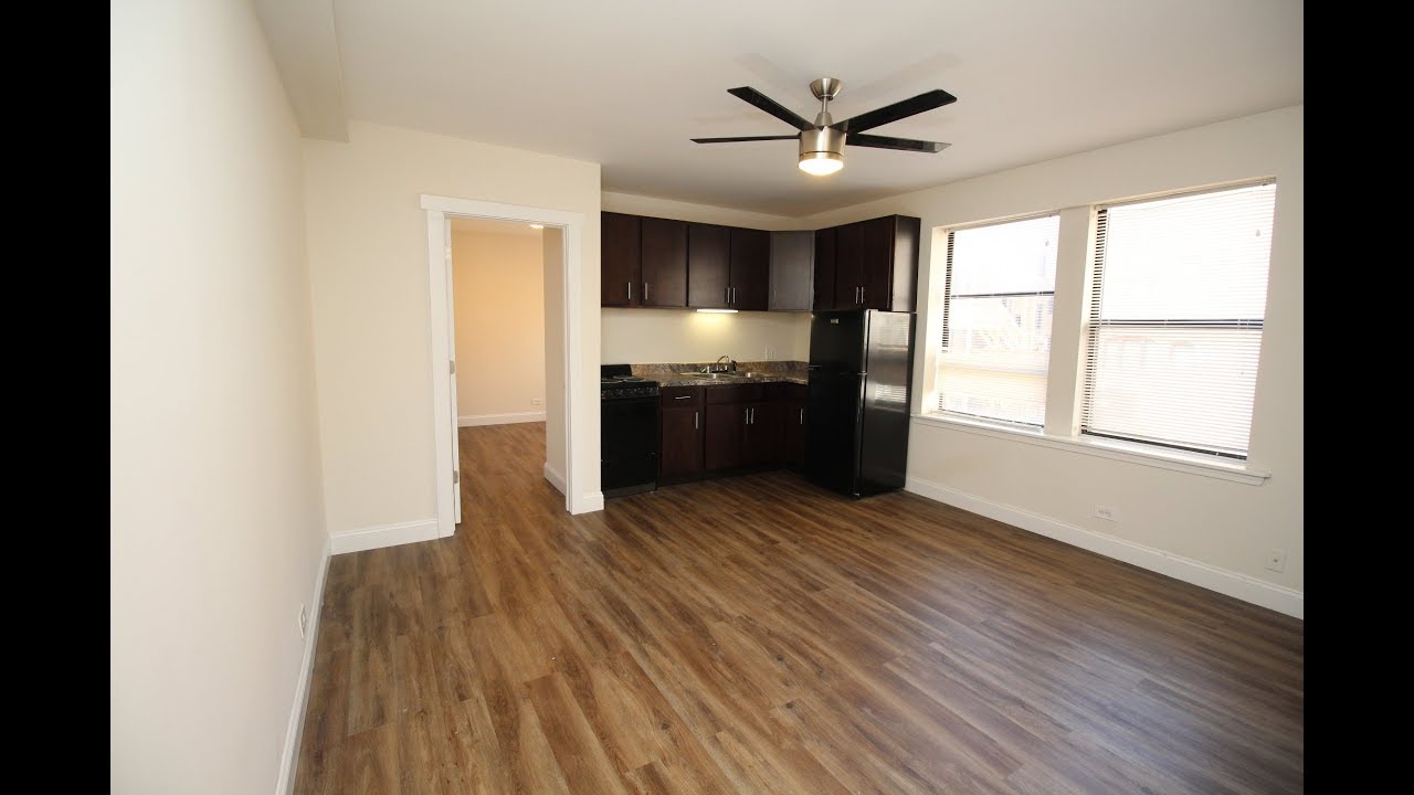 Chicago Apartment Clarendon/Irving Park 1bd/1ba YouTube