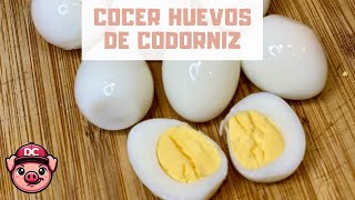 Cómo Cocer Huevos de Codorniz y Tiempo de Cocción 🥚 ¡RECETA CON HUEVO! Cómo Cocer Huevos de Codorniz y Tiempo de Cocción 🥚 ¡RECETA CON HUEVO!