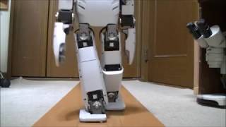 自然なスタイルで歩くロボットの実験 (Experiment of knee extension walking. 0.3 times slow video.)