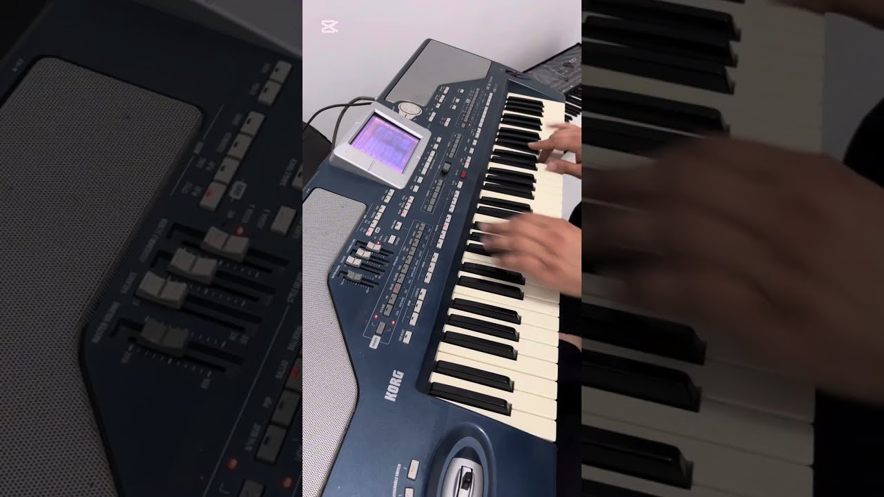 KORG PA800 Özel Seri 2 (SÜPER KARMA) 2025 Sahne Tarz