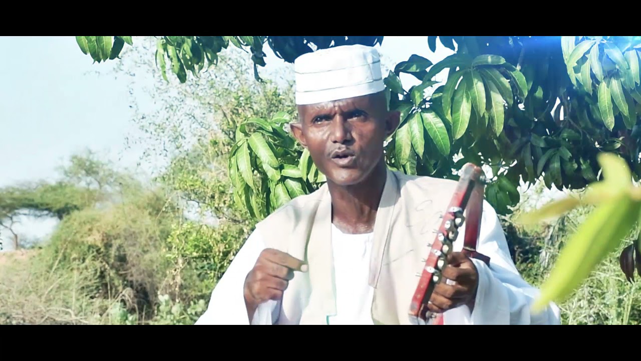 WEDI  AFA NEW CLIP AFEABET TOTRN MESL HOXETA  2021