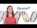 What is the difference between genetics and genomics