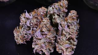 Happy 4/20!! Let's Sesh!! || Naboo - Two Month Cure Update and Ozark Mountain Reefer Madness Recap!!