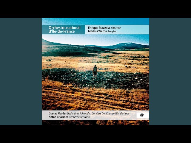 Bruckner - Vier Orchesterstücke: (2) Moderato : Orch Nat Ile-de-France / E.Mazzola