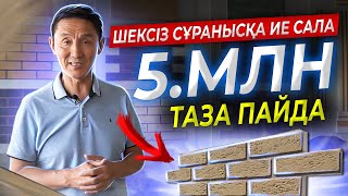 Жапондар ойлап тапқан бизнес. Конкурент аз, айына 5 000 000тг  таза пайда.