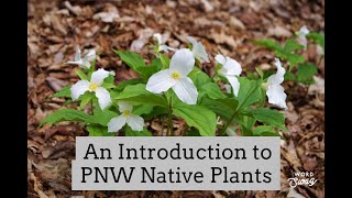An Introduction to PNW Native Plants  2021 Class Recording