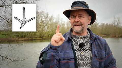 Een voorproefje van de basisvideo over vogelpoten.  🦉