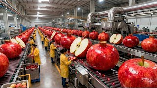 Inside a Modern Apple Sauce Factory: From Fresh Apples to Smooth Apple Purée (Full Process)