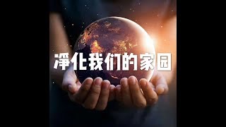 201507 净化我们的家园21962