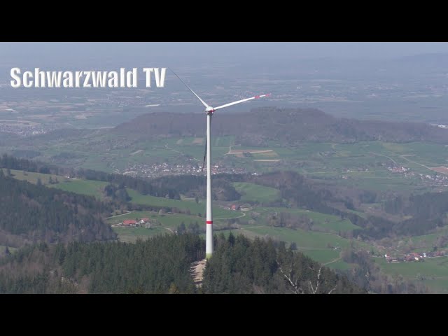 🚨🧐 Großer Umweltskandal und 2. Update vom Riss am neuen Mega-Windrad Holzschlägermatte bei Freiburg