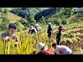 Hire people in the village to help me harvest rice