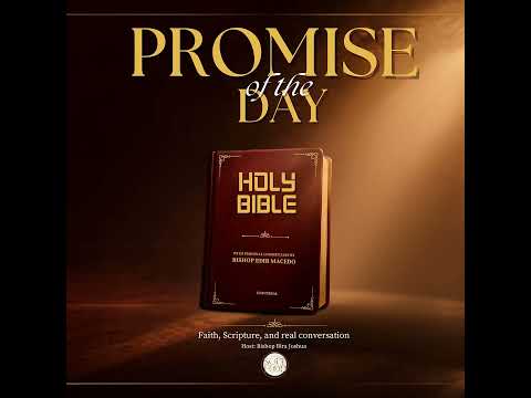 Promise of the Day: The Darkness Will Not Touch You