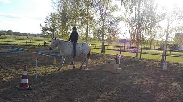 20170429 Mounting block - clickertraining horse