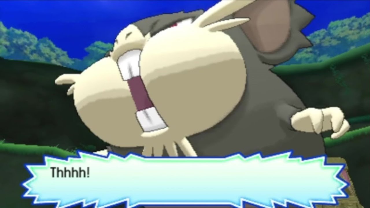 Totem Raticate Pokémon Ultra Moon - Totem Raticate Rematch - YouTube