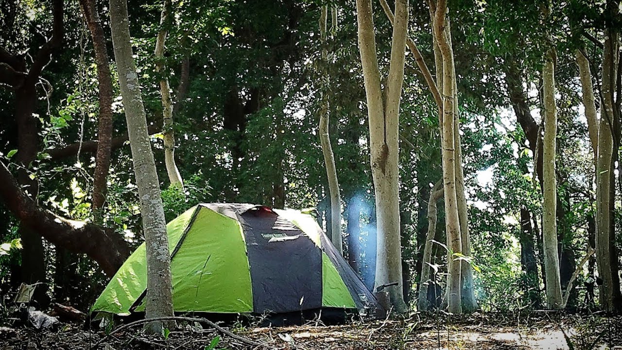 ソロキャン Summer Solo Camping: Campfire Cooking & Forest Night【夏のソロ