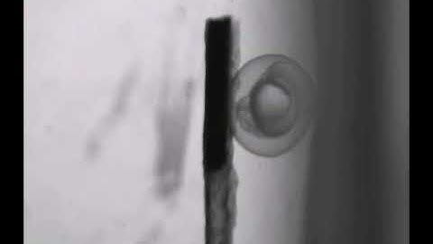 A Flexible Magnetic Soft Continuum Robot for Manipulation and Measurement at Micro Scale: Video 4