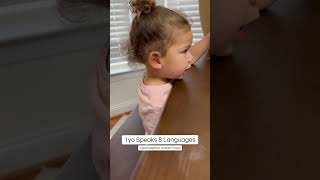 Teach Your Toddler to be Multilingual (read description) #bilingual #vietnamese