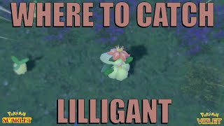 Where to Catch Lilligant in Pokemon Scarlet and Violet @Blaze302