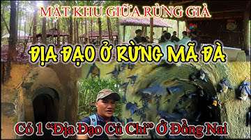 Địa đạo bí mật của Khu Ủy Miền Đông Nam Bộ bên dưới rừng Mã Đà ở Đồng Nai.