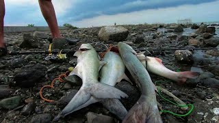 Mancing di Air Keruh Tetap DISAMBAR Pake Umpan Ini screenshot 4