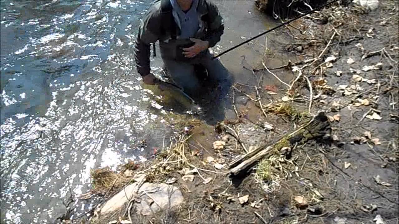 Pulaski New York spring steelhead 2015 YouTube