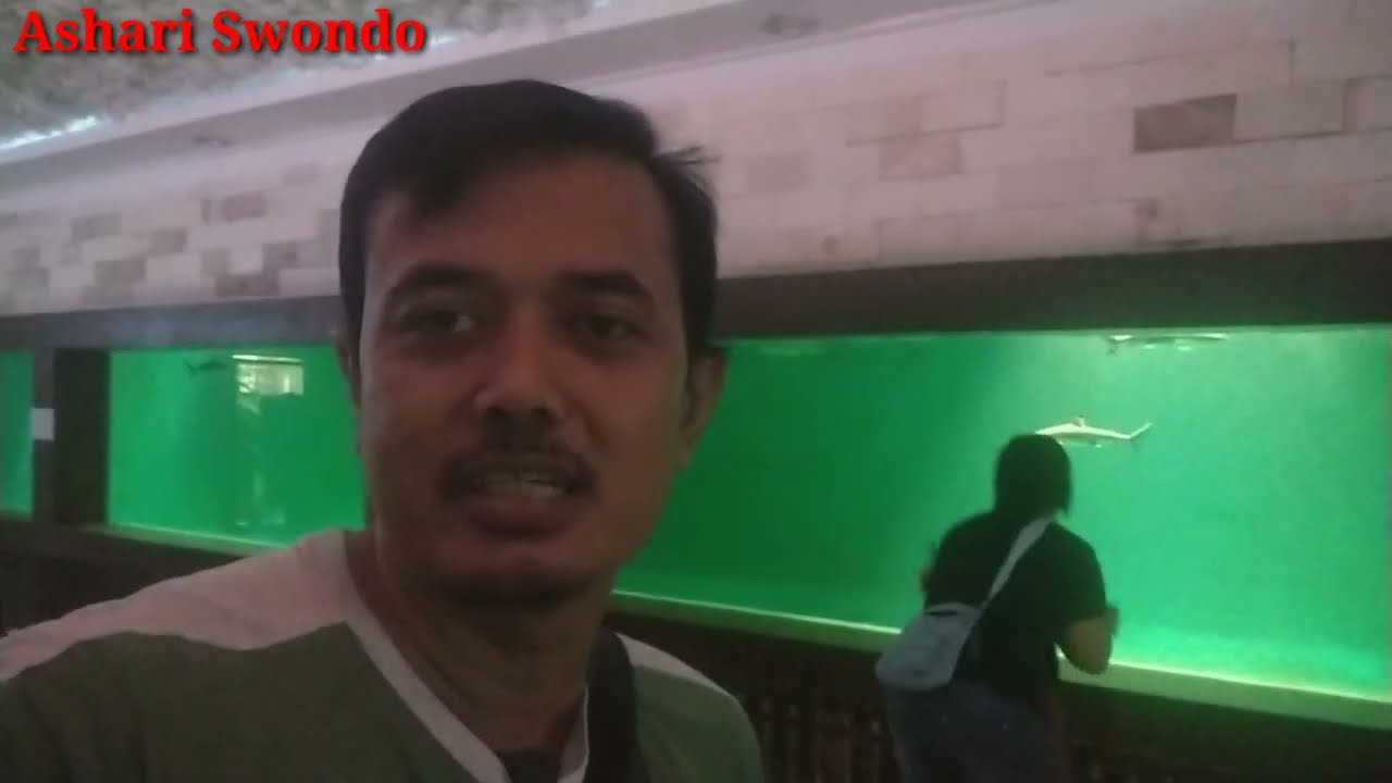 UPDATE TERBARU DAN TERLENGKAP!!! GLASSPOND HIU @ CENTRAL PARK ZOO MEDAN