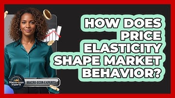 How Does Price Elasticity Shape Market Behavior?