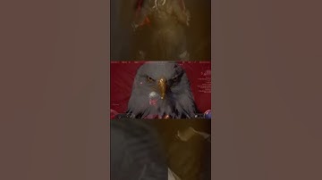 #PoE2 #shorts #PoElike This boss had me in a choke hold as a Warrior