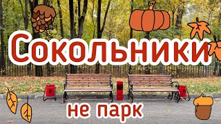 картинка: Сокольники, не парк 🍁🍂