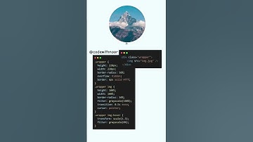 Image hover effect for beginners #shorts #viralvideo #trending