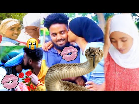 Jaartin Muktar 2ffaan Gudi Gotee Akkas Jetteni Sodachiste Dirqidhuman Dhugateka Kun Maali Darbatamtu