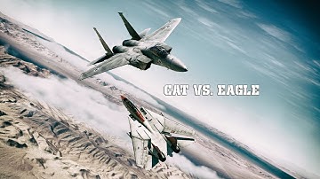 F-14 vs. F-15C , Cat vs Eagle - | DCS cinematic shortie |