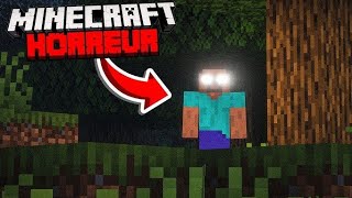 Herobrine In My World Watch If You Are Strong Hearted Person Day 2 Vlog