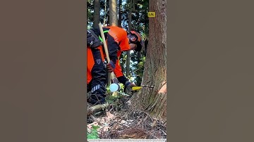 Manual logging with expertise and technique