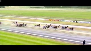Terror To Love Sapling Stakes 2010