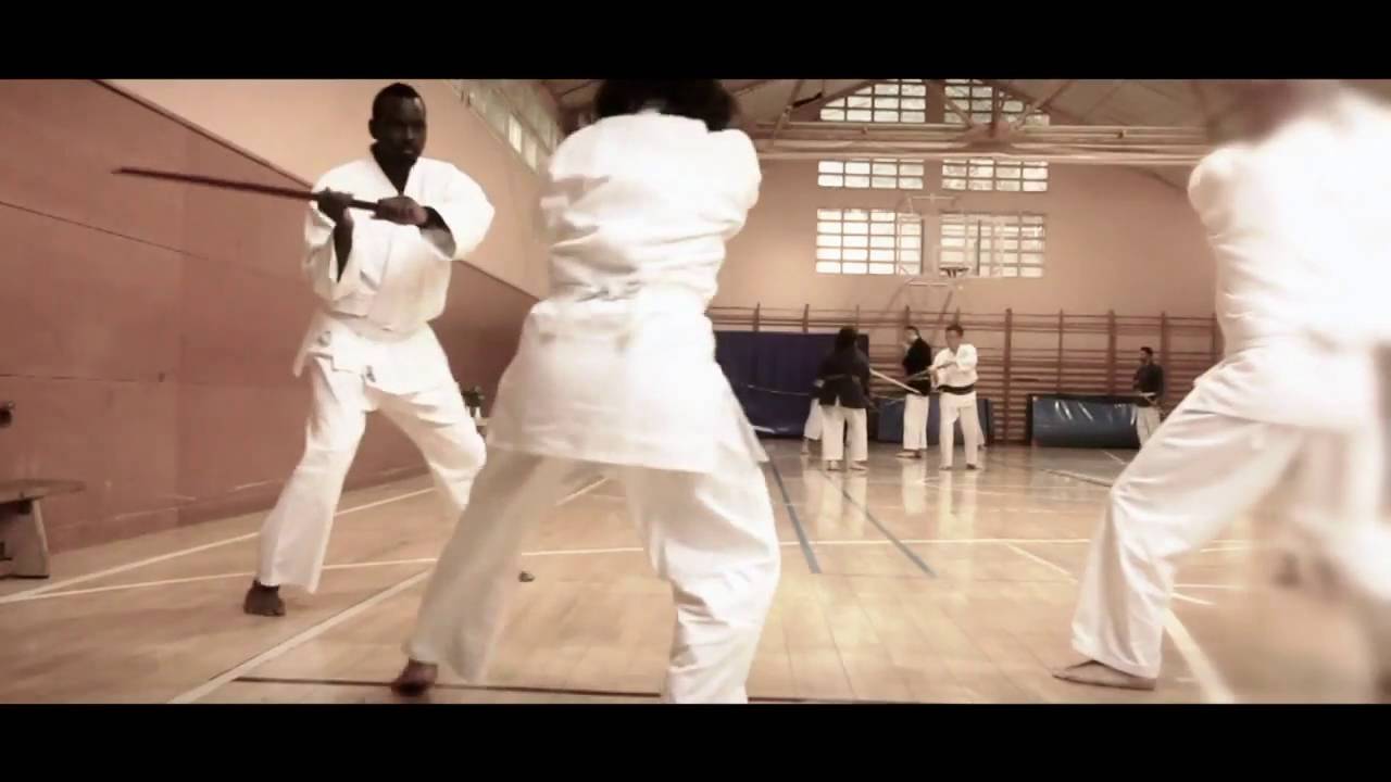 II Seminario Internacional Barcelona   Tenshin Shoden Katori Shinto ryu