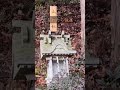 ⚠️見る度にどんどん運気が上がる動画✨表示されたあなたはとても幸運です♪運気が良くなります！幸せを掴むチャンスです🎵✨🌈#Shorts #今日から開運 #スピリチュアル #総合運 #旅行 #遠隔参拝