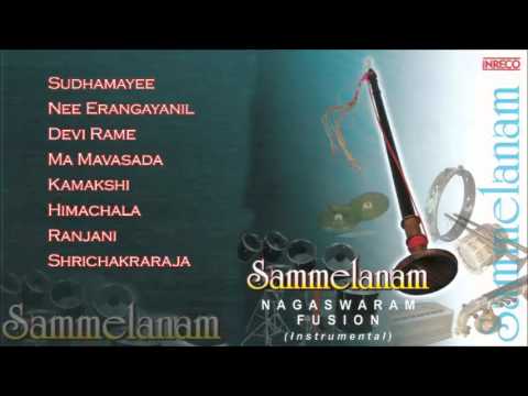 Best Of Gokul & Suren | Carnatic Instrumental | Sammelanam | Nagaswaram Fusion | Audio Jukebox