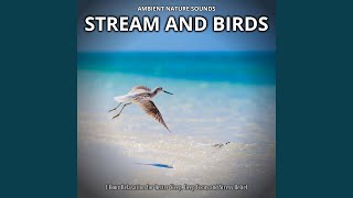 Serene Stream Harmony