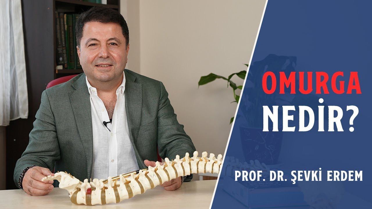 Omurga Nedir ve Görevleri Nelerdir? - Prof. Dr. Şevki Erdem
