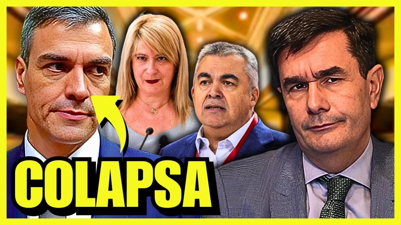 😡INDIGNANTE😡LOS AUDIOS DE LA MAFIA DEL PSOE DEJAN EN SHOCK A PEDRO SÁNCHEZ
