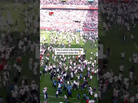 Pure MADNESS Pure JOY 