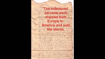 English Book Report Video 1 - 2012