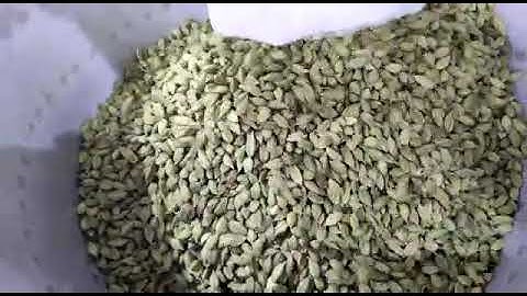X-Series Cardamom sorting machine
