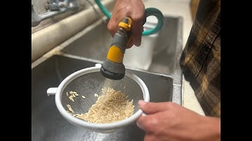 How to Process and Save Cucumber Seeds