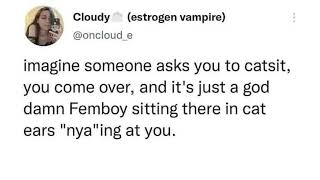 catsitting a femboy